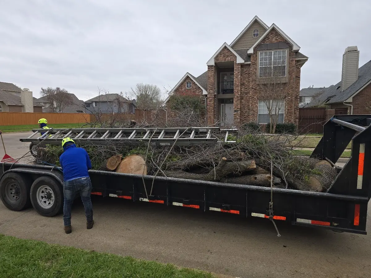 Expert Tree Fertilization with proper safety equipment in Nauvoo